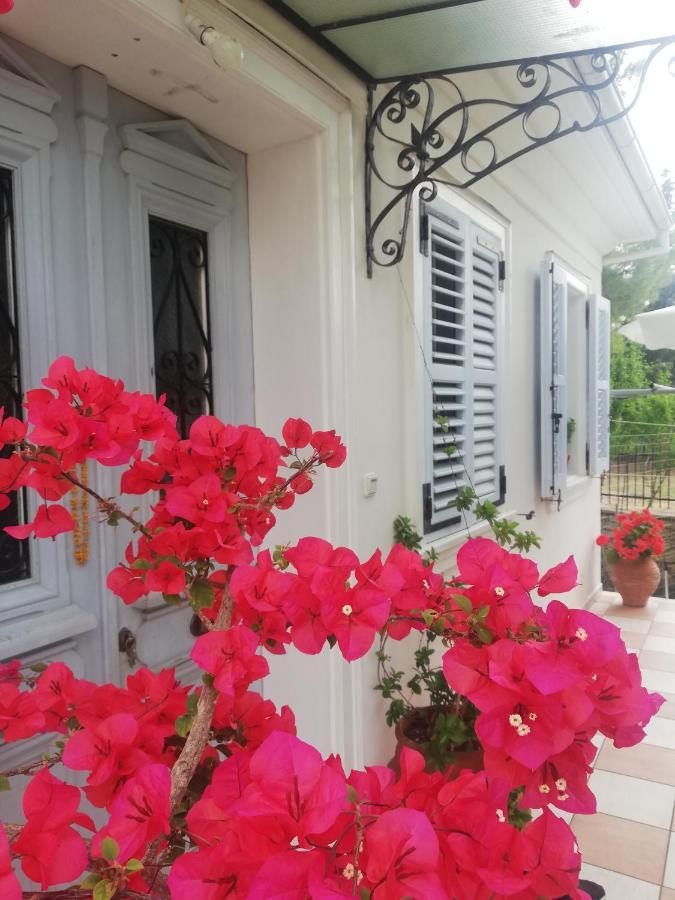 La Casa Di Caterina: Nature,Relax And Private Garden Lefkáda Dış mekan fotoğraf