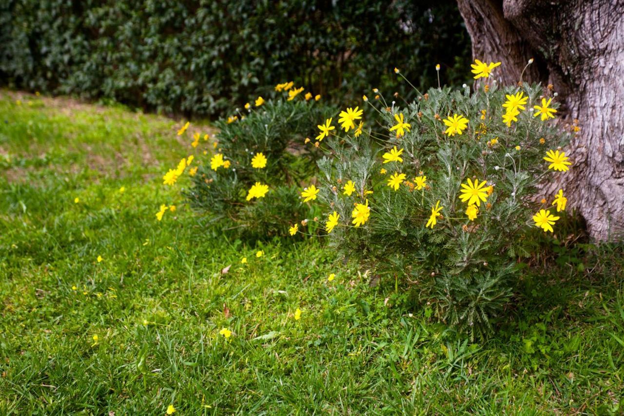 La Casa Di Caterina: Nature,Relax And Private Garden Lefkáda Dış mekan fotoğraf