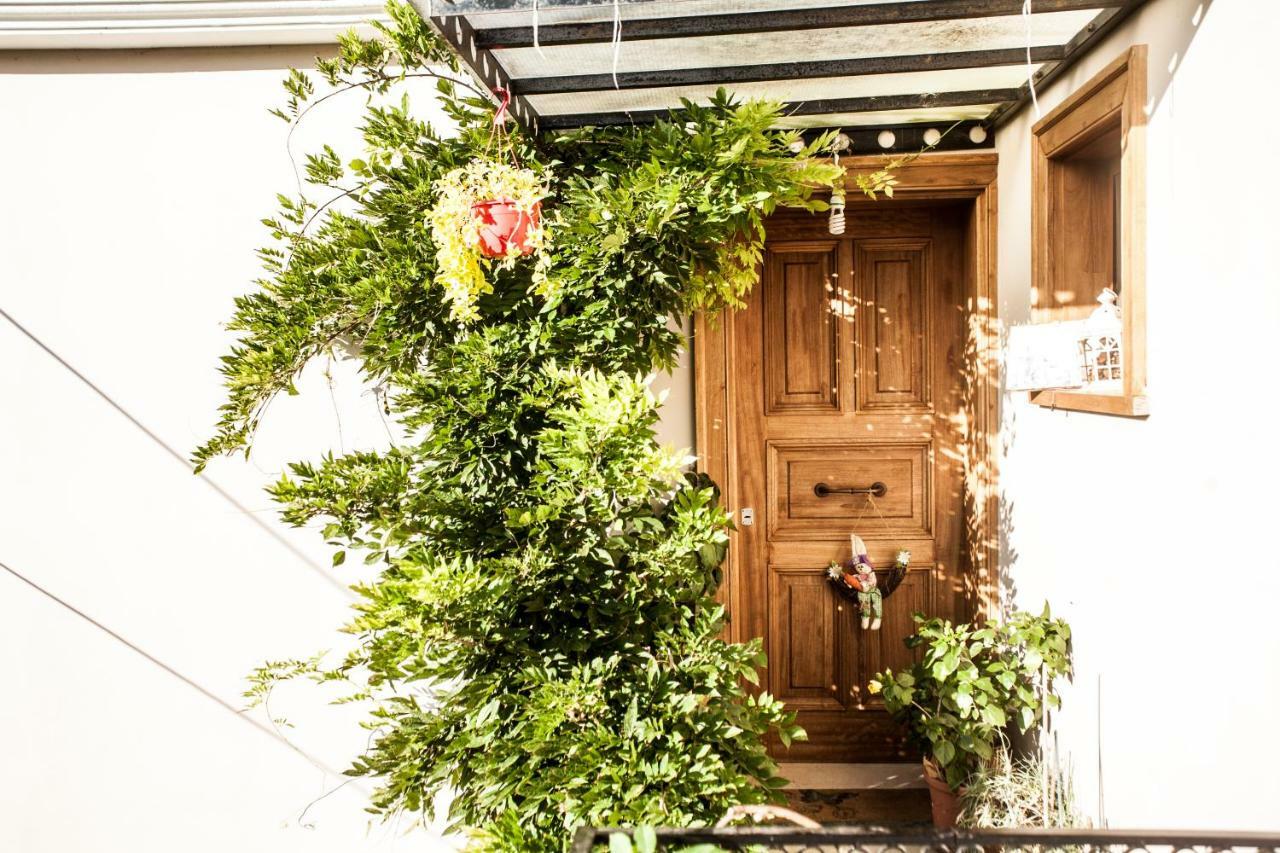La Casa Di Caterina: Nature,Relax And Private Garden Lefkáda Dış mekan fotoğraf