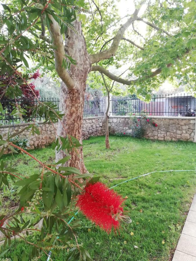 La Casa Di Caterina: Nature,Relax And Private Garden Lefkáda Dış mekan fotoğraf